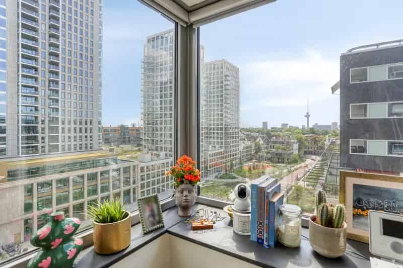 Luxe 4 Kamer Appartement Rotterdam Parkzicht De Hoge Heren