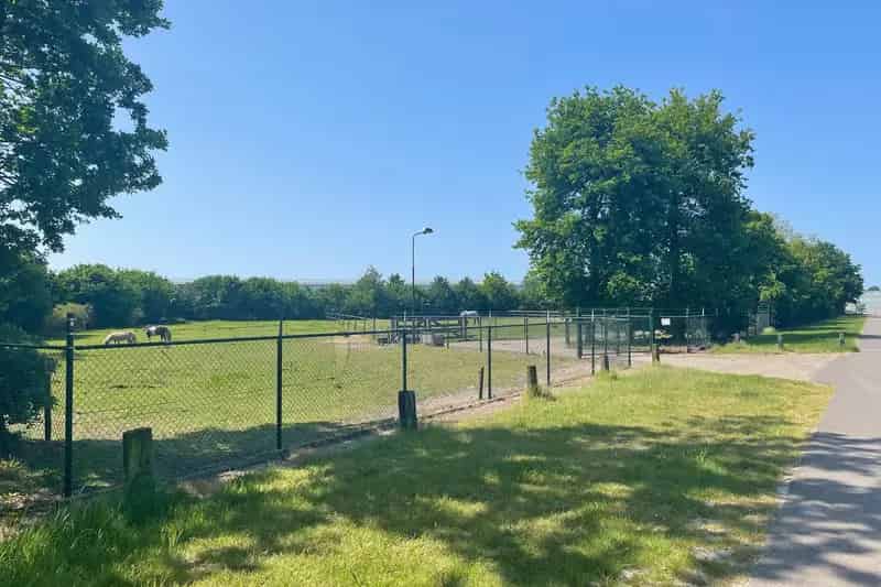 Agrarische grond Someren te koop: weiland met schuur