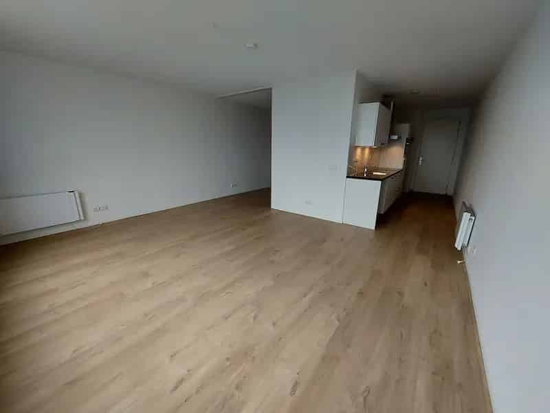 All Electric Studio Leiden Ruime Open Indeling Moderne Keuken