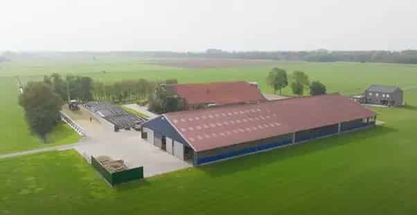 Agrarisch bedrijf Bad Nieuweschans | Zoek agrarische bedrijven te koop: Bunderneuland 9693 TB Bad Nieuweschans 