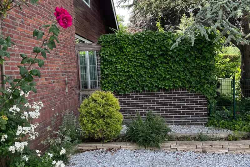 Luxe Vrijstaande Woning Krommenie 4 slaapkamers 3 badkamers Grote Tuin