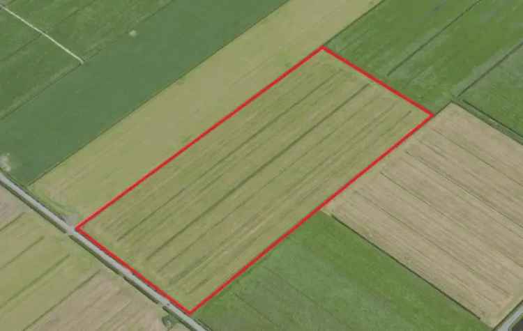 Agrarische Grond Zalk 505 hectare te koop