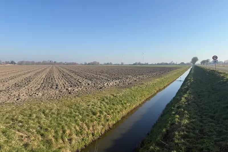 Agrarische grond Barsingerhorn 12 hectare
