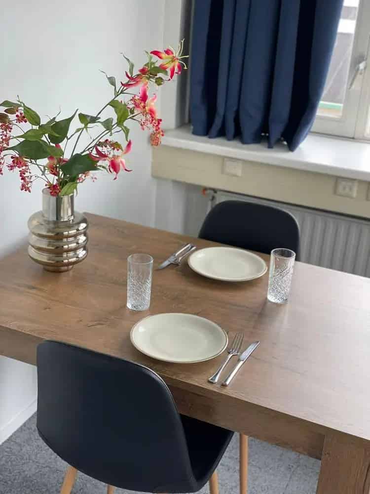 Studentenkamer Nabij Delft - 1 Maand Korting