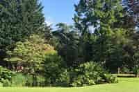 Te renoveren tweekapper 150m² 1930m² grond Bosrijke omgeving Wassenaar