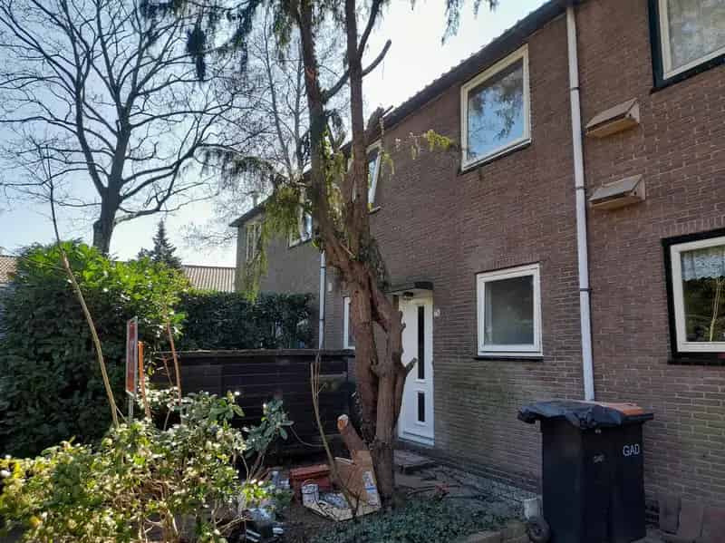 Tussenwoning Muiderberg Zuidtuin Nabij Centrum School Strand