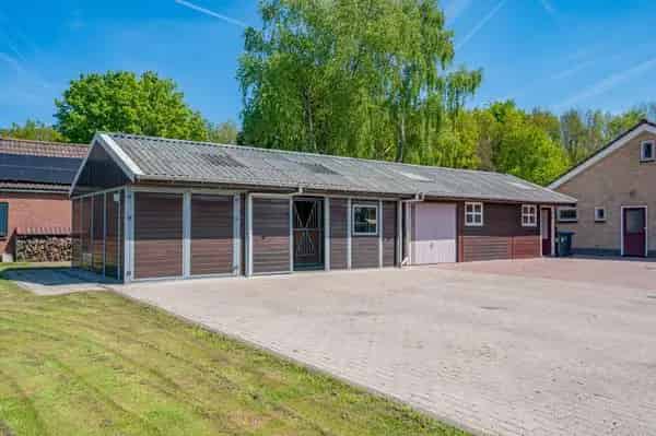 Vrijstaande woning met paardenstallen Finsterwolde