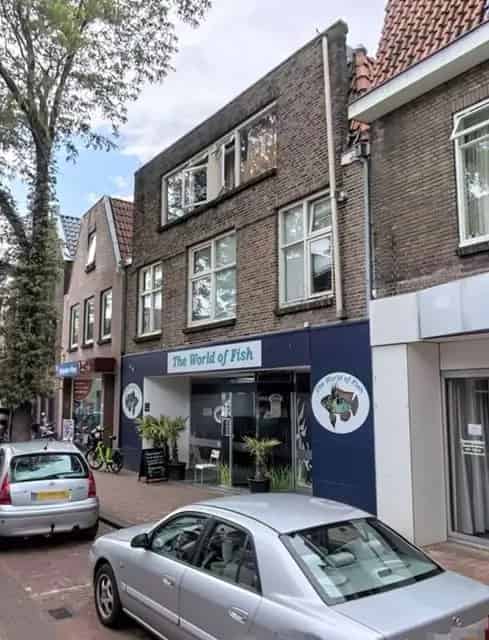 Zwolle  (Dieze-Centrum)  - Thomas a Kempisstraat