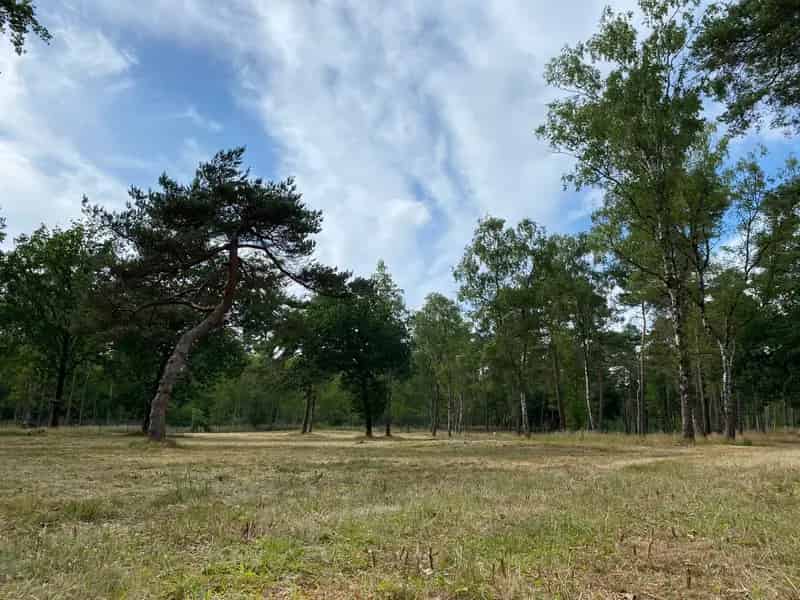 Toerisme & dagrecreatie Woudenberg | Zoek toerisme & dagrecreatie te koop: Zeisterweg 3931 MK Woudenberg 