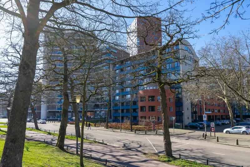 Nijmegen Kronenburgersingel: 2-kamerappartement met balkon en parkzicht