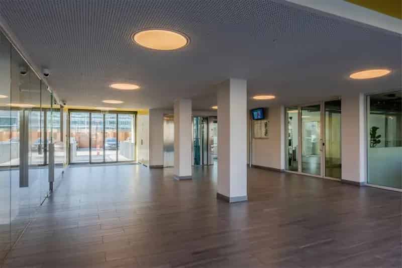 Studio Amsterdam West Bos en Lommerplantsoen