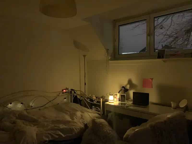 Nieuwbouw woning met constante temperatuur en grote tuin