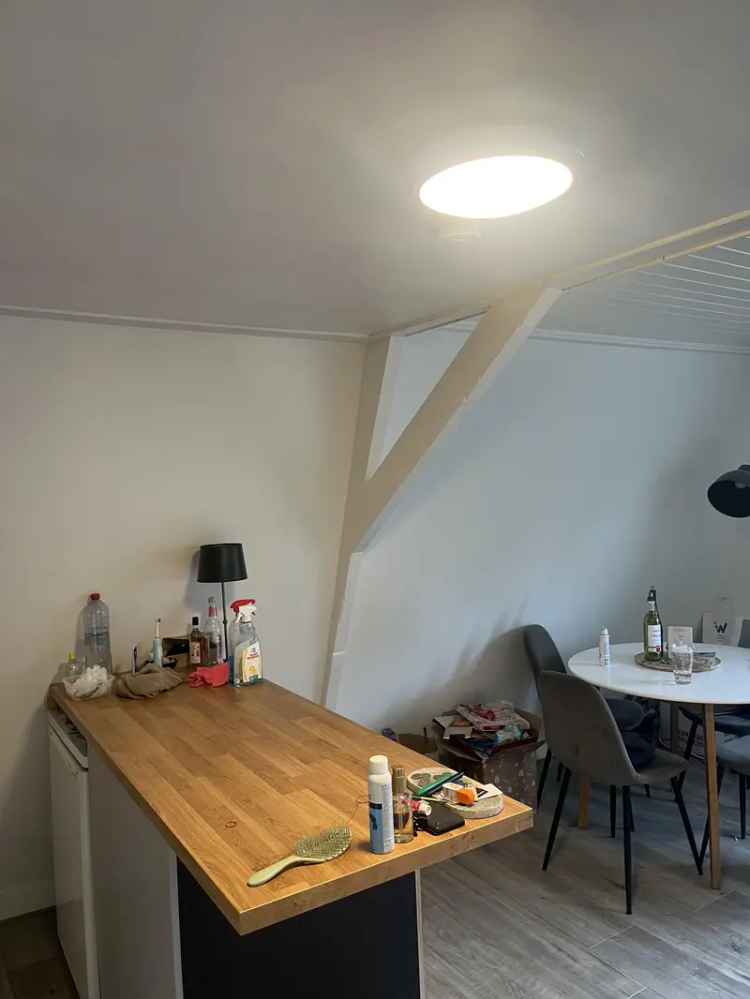 Studio Ede Zomerverhuur