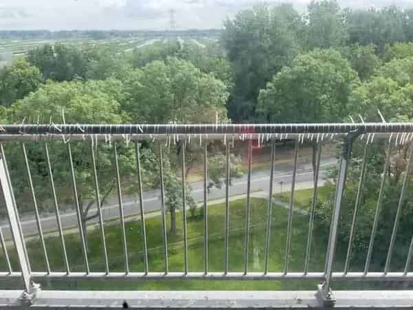 Appartement Brandaris Zaandam: Licht en Ruim 8e Etage