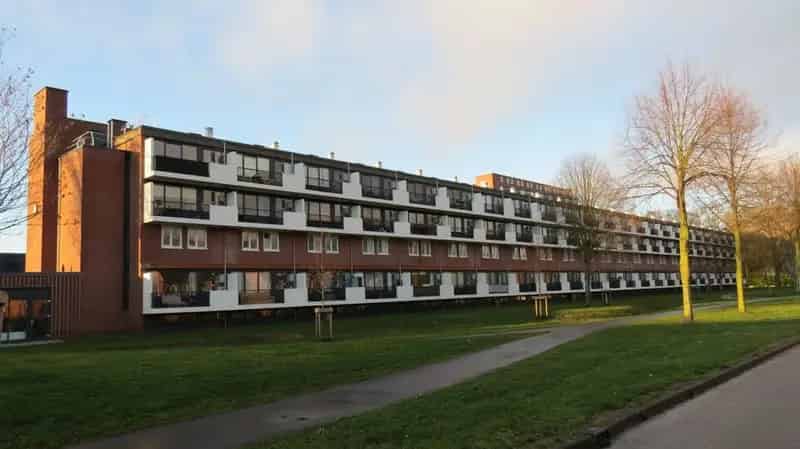 3-kamer appartement De Nieuwe Es - Ruim en Groen