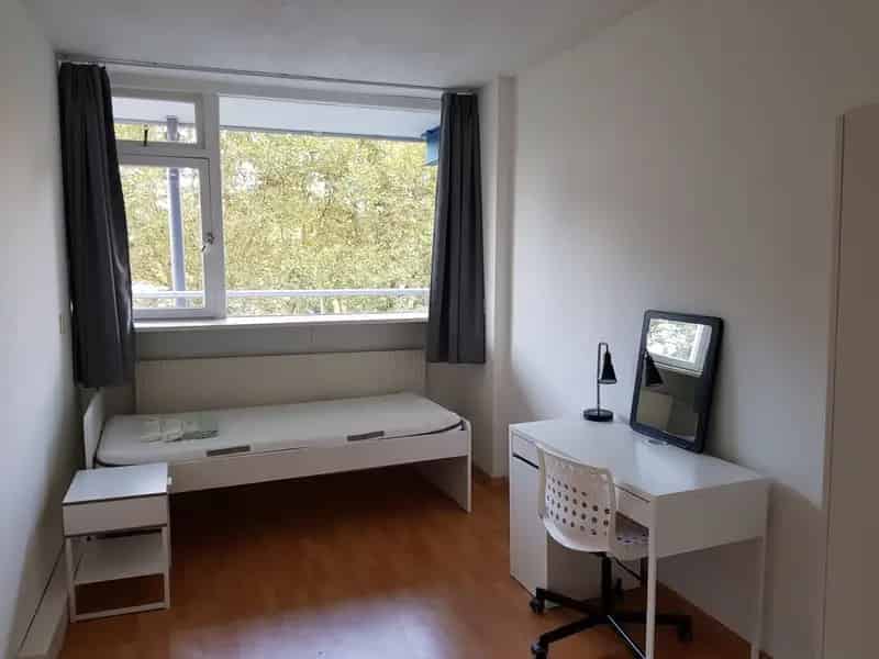 Kamer Delft te huur voor meisjes Juli 2025 - Jan/Feb 2026