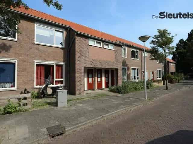Benedenwoning Leiden Ruime Tuin Nabij Centrum