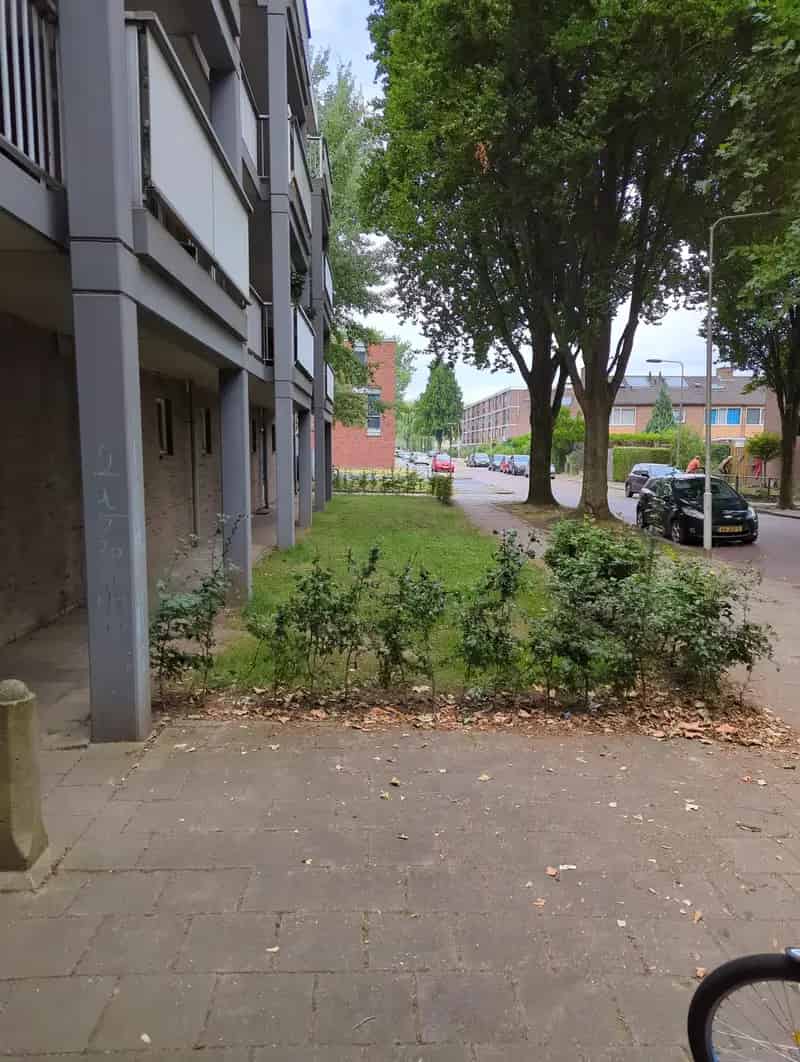 Engelenburgstraat 76: Rustig wonen nabij voorzieningen