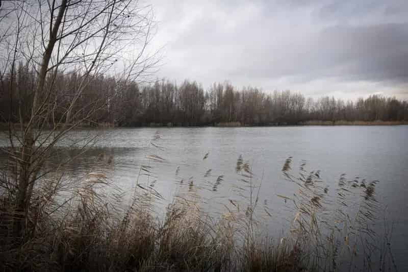Moderne Designvilla Arnhem Aan Het Water 4 Slaapkamers Praktijkruimte