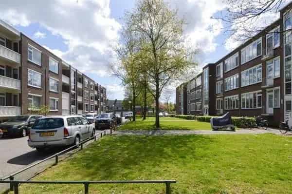 Gerenoveerd 3-kamerappartement Breda Sportpark
