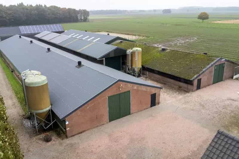 Bedrijfshal te huur Bladel 462m² Opslag Grote deuren