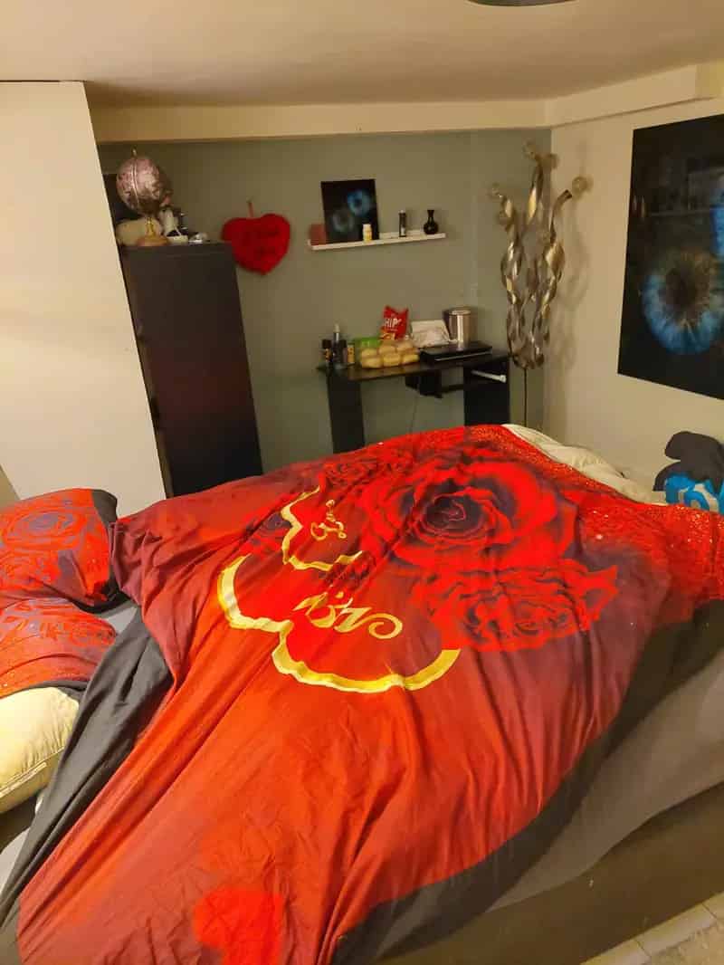 Kamer Verhuur Gezellige Spontane Huisgenoot