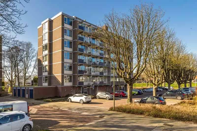 Ruim 4 Kamer Appartement Crabbehof Recent Gemoderniseerd