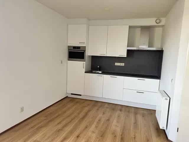 3 Kamer Appartement Axel te Huur 67m2