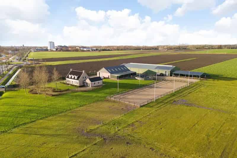 Hippische Accommodatie Zevenbergen: Luxe Woning & Compleet Paardencomplex