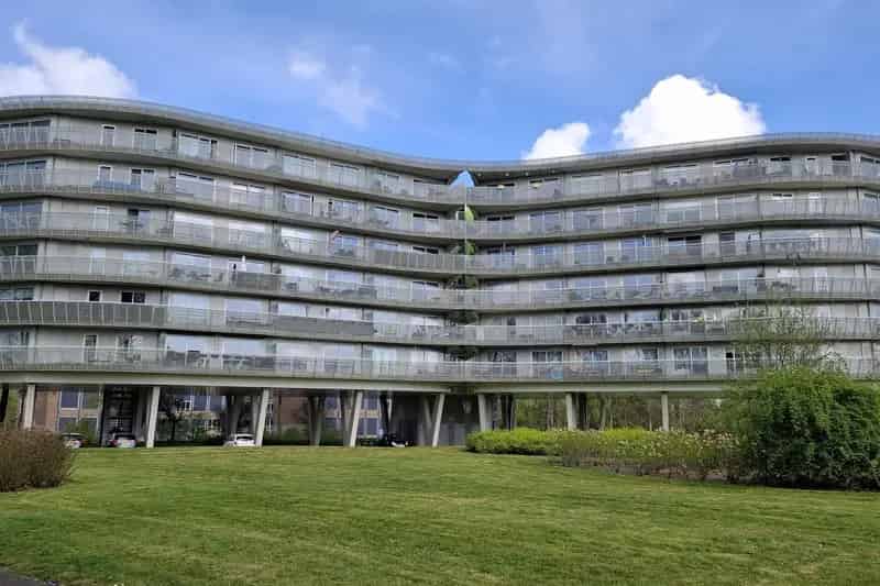 Ruim 3-kamer appartement Hoogvliet met weids uitzicht