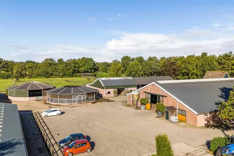 Paardenhouderij Schijf - Luxe accommodatie met 52 boxen en 196 paarden vergunning