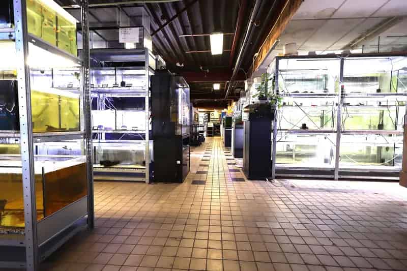 Winkelruimte te koop Oosterhout 494m² - Magazijn - Kantoor - A++