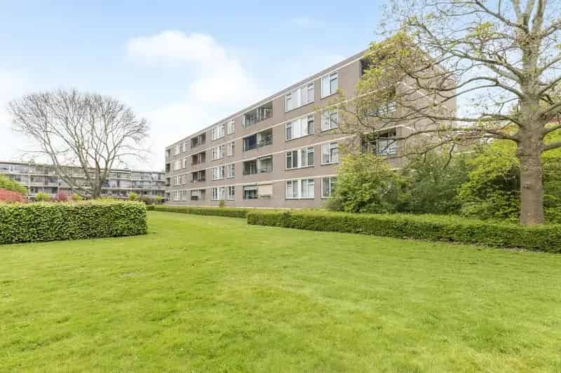 3 Kamer Appartement Ruigoord Nieuwe Badkamer Keuken