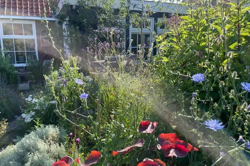 Huis te koop Wassenaar Tuinpad 39: Gelijkvloerse Cottage met Tuin