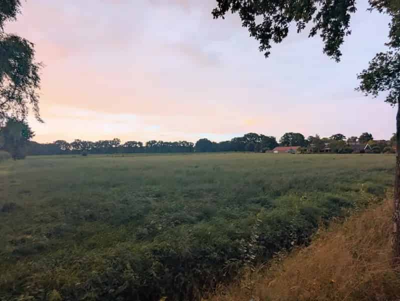 Agrarische grond Winterswijk Miste | Zoek agrarische grond te koop: Haartweg 7109 BJ Winterswijk Miste 