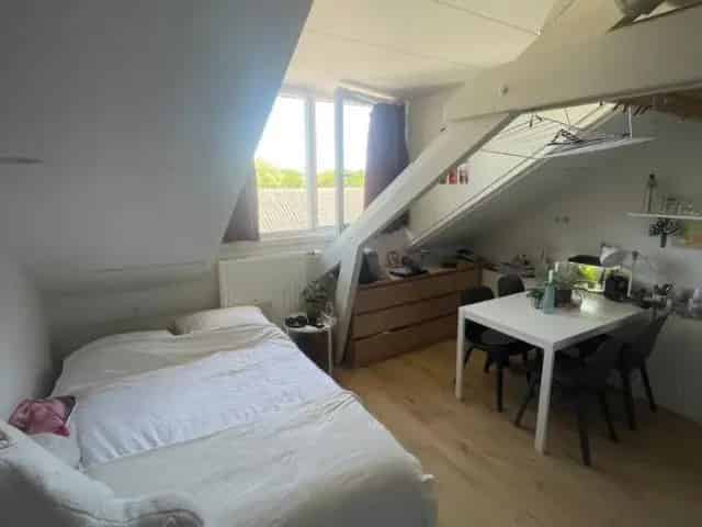Kamer 16m² te huur Nijmegen Bijleveldsingel