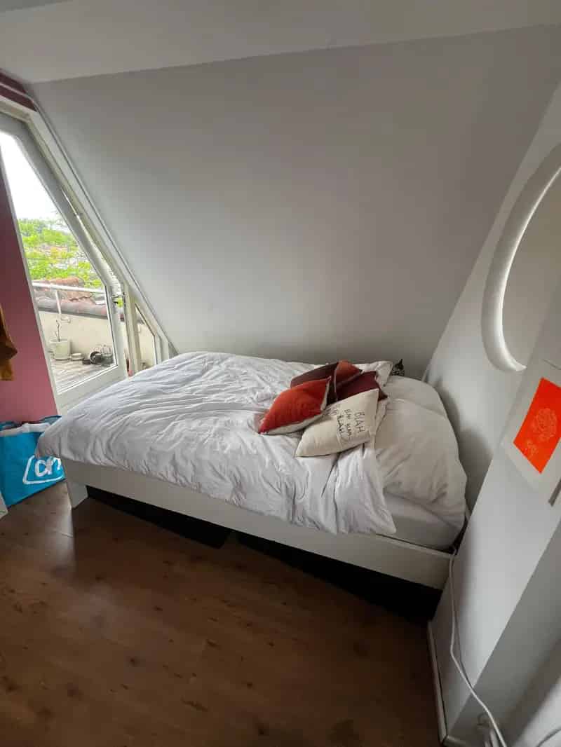 Grote kamer Delft Centrum - Balkon, Badkamer ensuite - Juli/Augustus