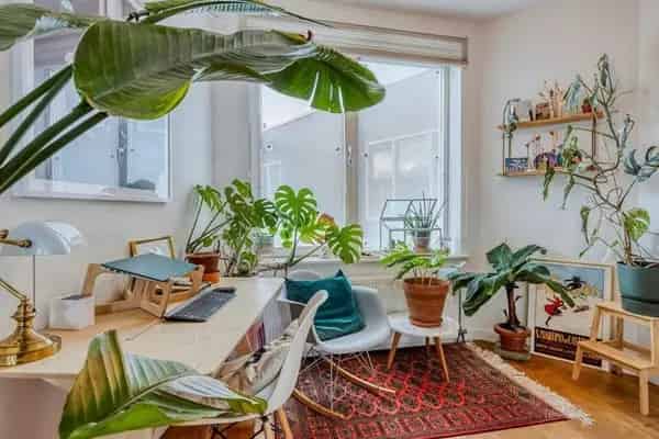 Appartement Tolhuisstraat Rotterdam 2 slaapkamers