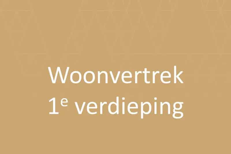 Ruime Tussenwoning met Garage Studio en Zonneterras