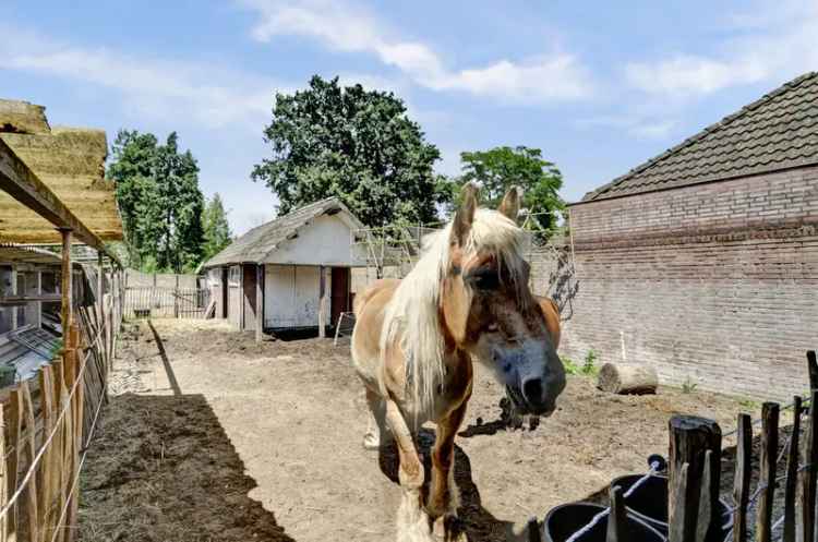 Eengezinswoning Te Koop in Bergeijk, Noord-Brabant