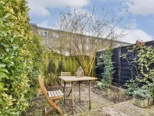 Zonnig 2-kamer appartement Amsterdam 31m2 met tuin