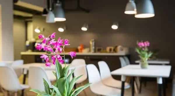 Appartementen Den Haag Centrum: Studio's en 2-kamerappartementen