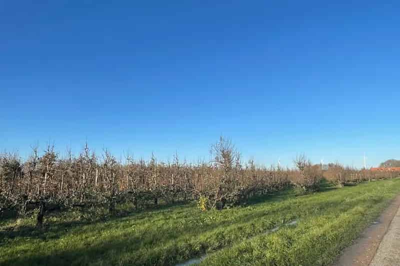 Agrarisch bedrijf Waardenburg: 59 hectare grond met boomgaard en tunnelkassen