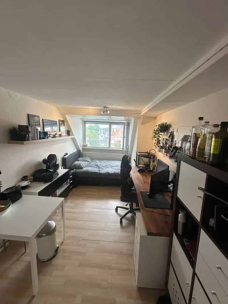 Kamer met dakterras Delft nabij station