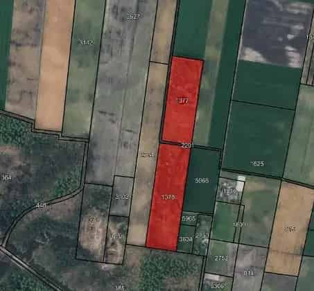 Agrarische grond Punthorst 56 hectare bosgrond te koop