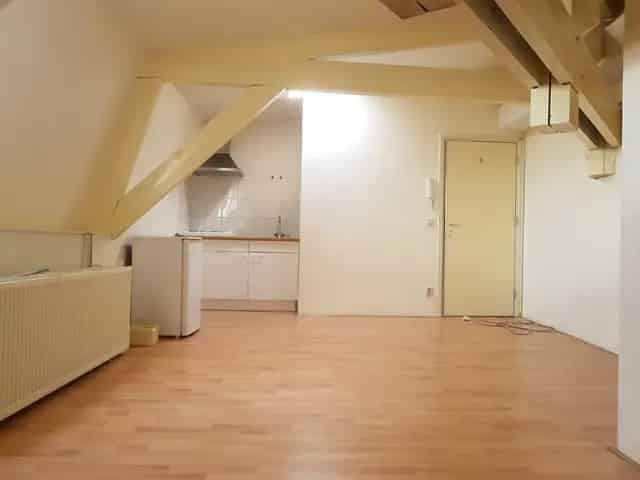 Studio Leiden Binnenstad Zuid Breestraat 23m2 1 Kamer