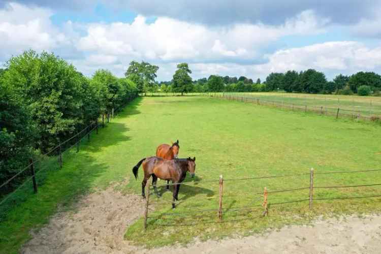 Luxe Woonboerderij met Paardenstallen nabij Ede