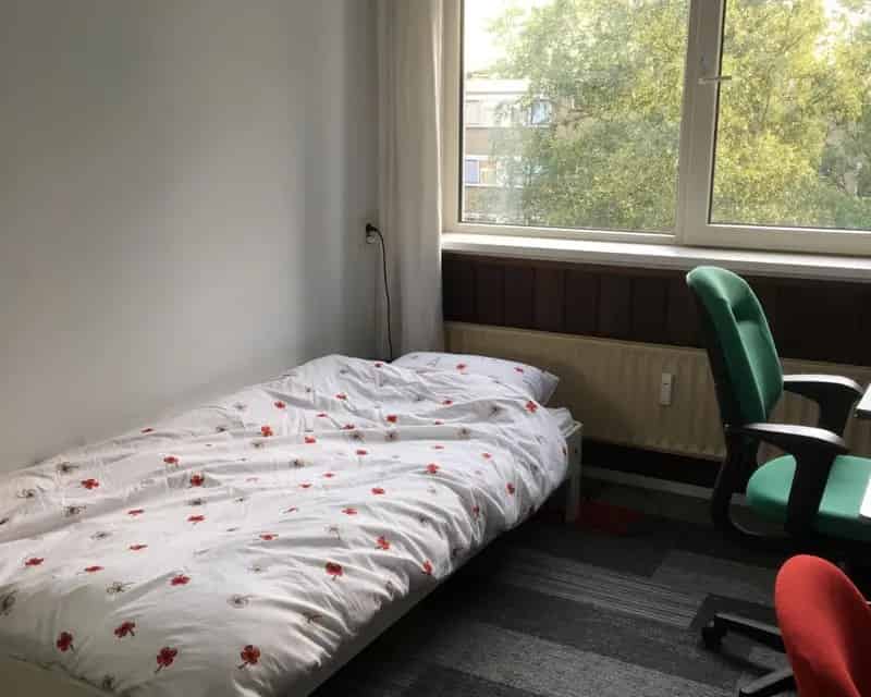 Gemeubileerde kamer Leiden voor masterstudente