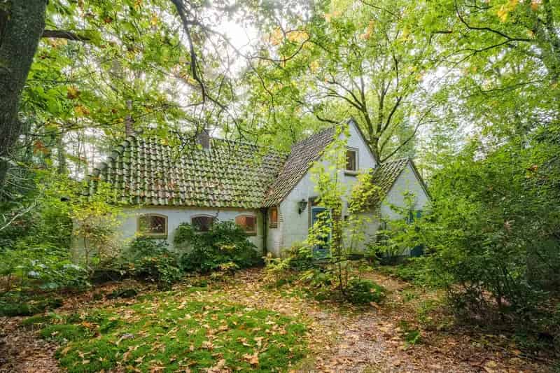 Vrijstaande Villa Wageningen Hoog 5 slaapkamers Ruime Tuin