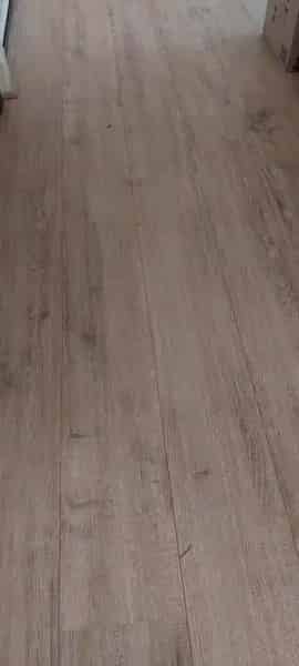 Portiekwoning Scheldebuurt 2 slaapkamers nabij winkels